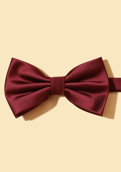 Burgundy Solid Tie