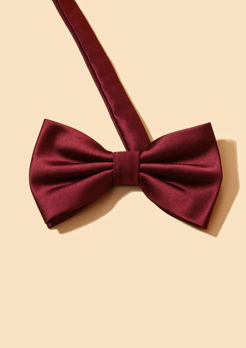 Burgundy Solid Tie